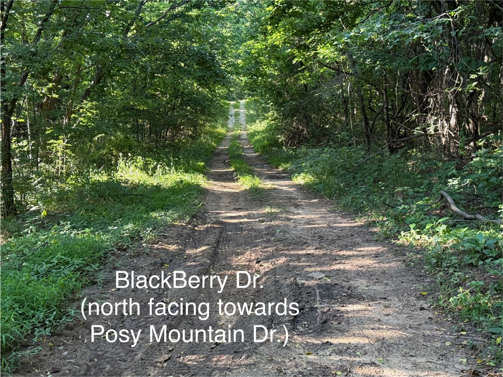 Posy Mountain Ranch Unit 6 Rurban - Land