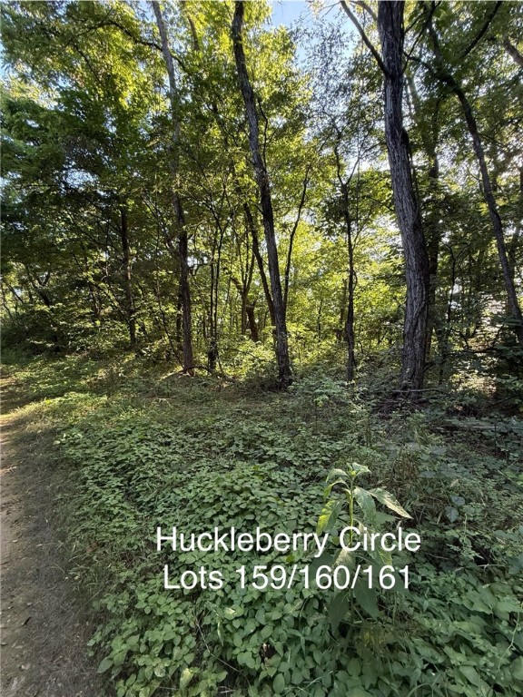 Posy Mountain Ranch Unit 6 Rurban - Land