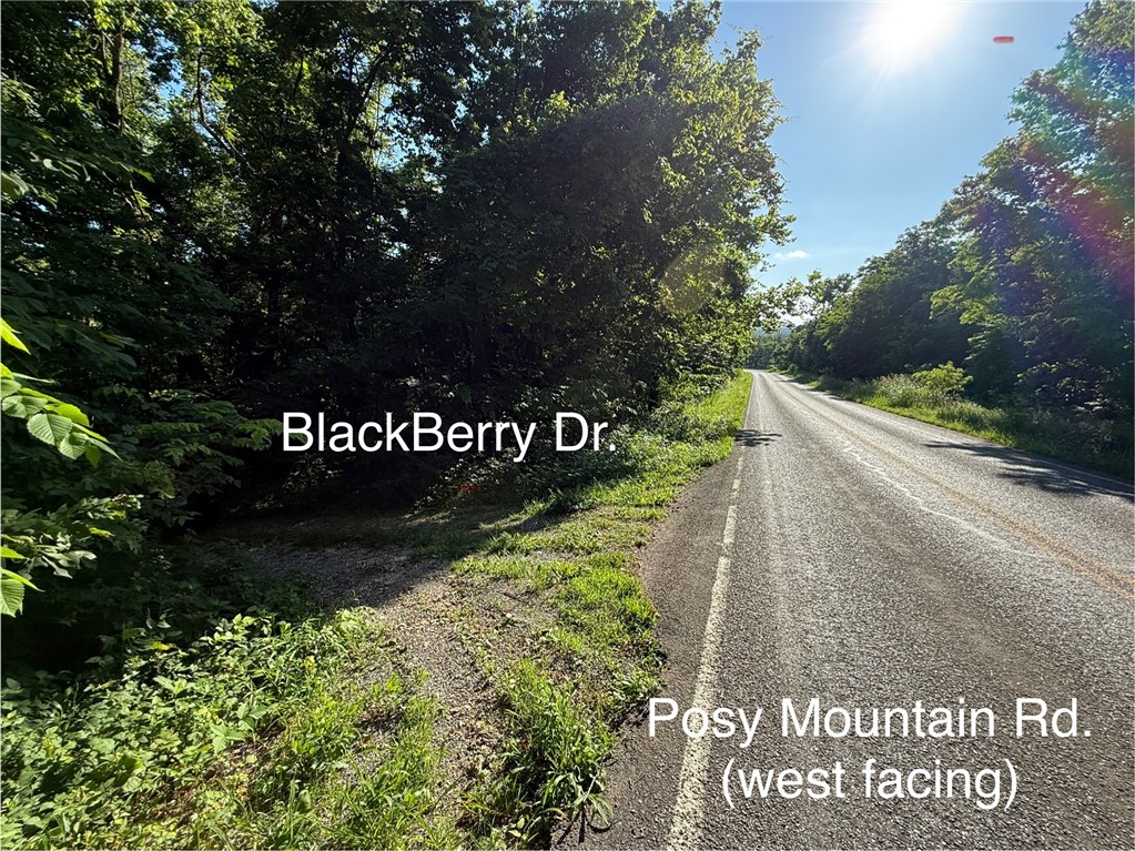 Posy Mountain Ranch Unit 6 Rurban - Land