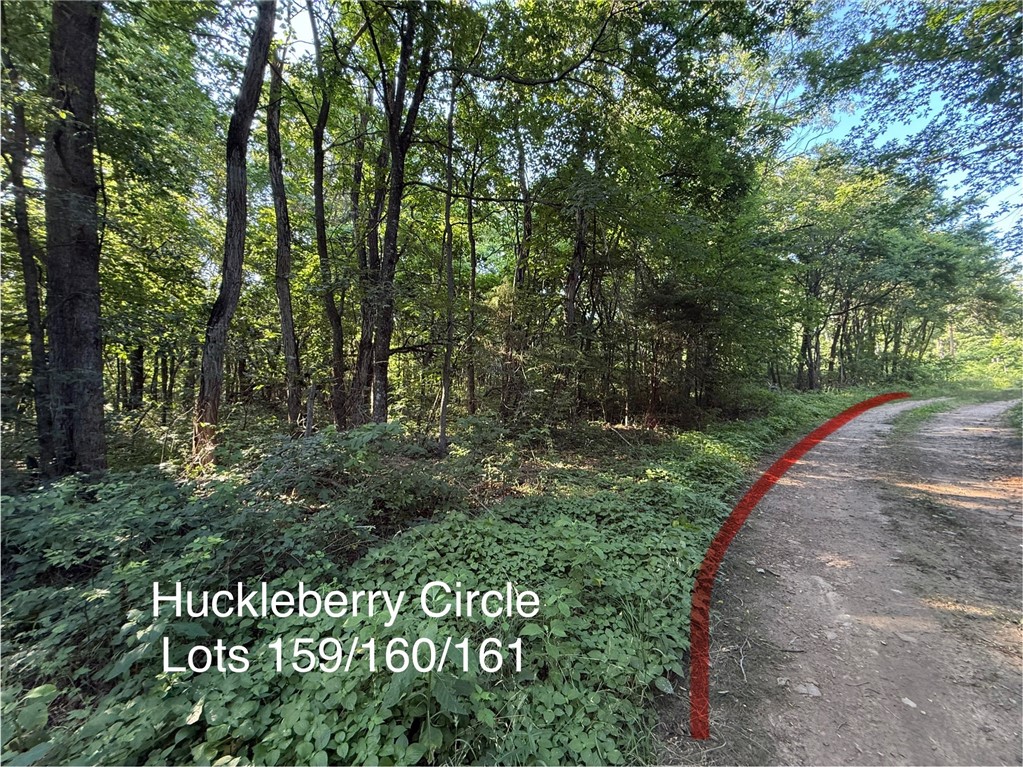 Posy Mountain Ranch Unit 6 Rurban - Land