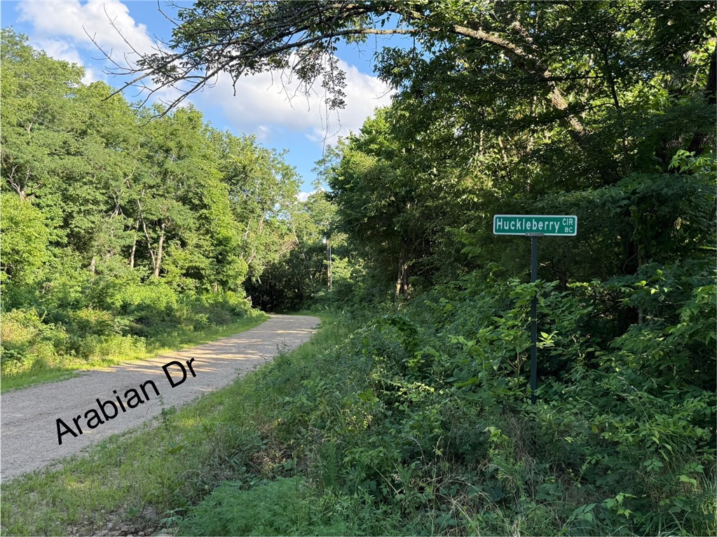 Posy Mountain Ranch Unit 6 Rurban - Land