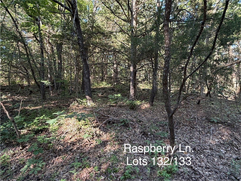 Posy Mountain Ranch Unit 6 Rurban - Land
