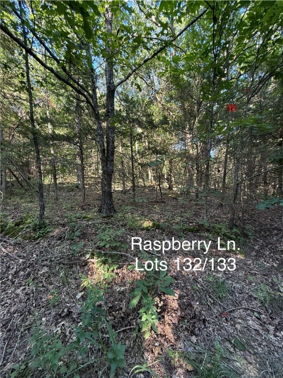 Posy Mountain Ranch Unit 6 Rurban - Land
