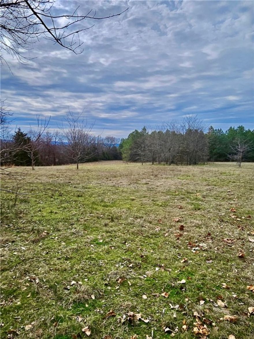 This 145-acre property has so much to offer, with a nice mix of open pasture and shady wooded areas. It’s in a great spot—right by Center Valley Elementary and next to the Moreland Fire Department—with easy access from two roads, including highway frontage along AR 124. A pond adds to the appeal, making it a great spot for a farm, a homesite, or just land to enjoy. This property is also being divided and sold as a 76 acre tract and a 69 acre tract. This listing is being sold two other ways MLS#1321611 and MLS#1321628