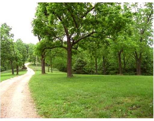 Beautiful lush land close to Beaver Lake & Indian Creek Park. Level park like building sites, remainder left natural for lots of wildlife & deer. Lots of walnut & other majestic trees. Only 1/2 mi. of gravel road. Up to 35 acres avail.
