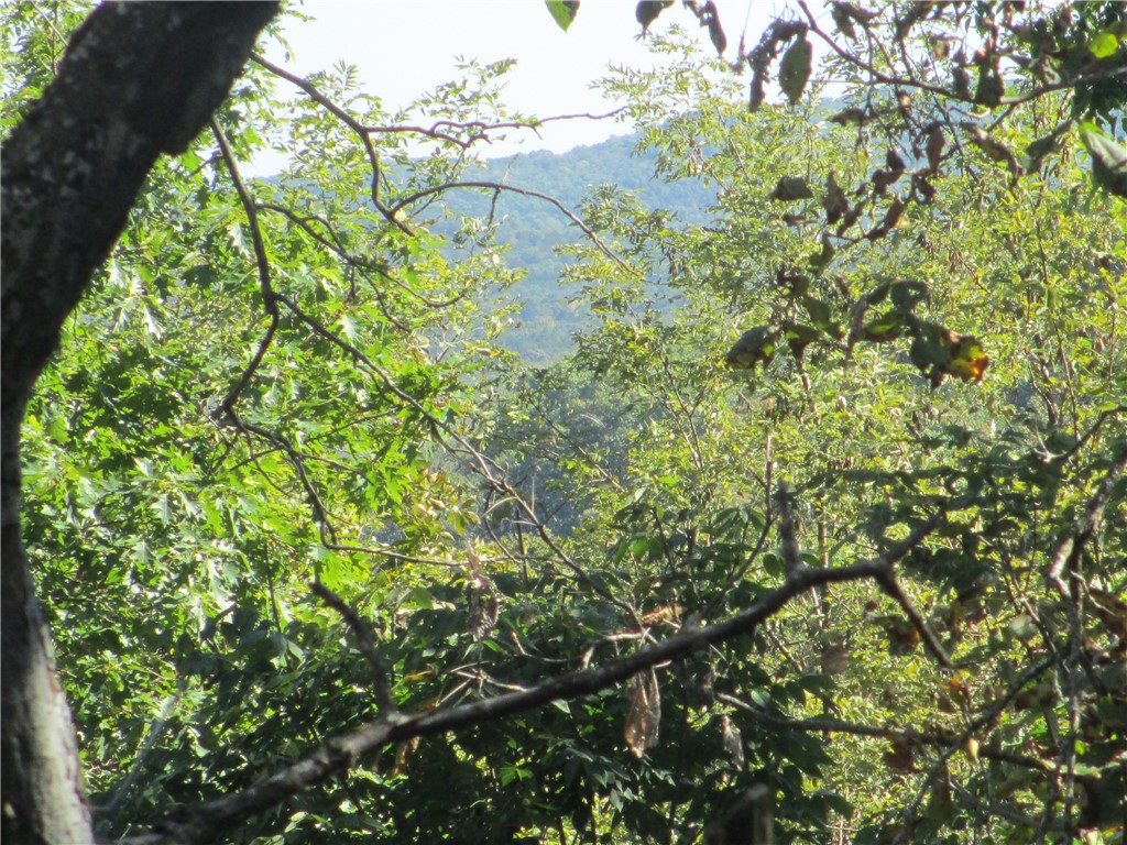 Unit 11 Holiday Island - Residential