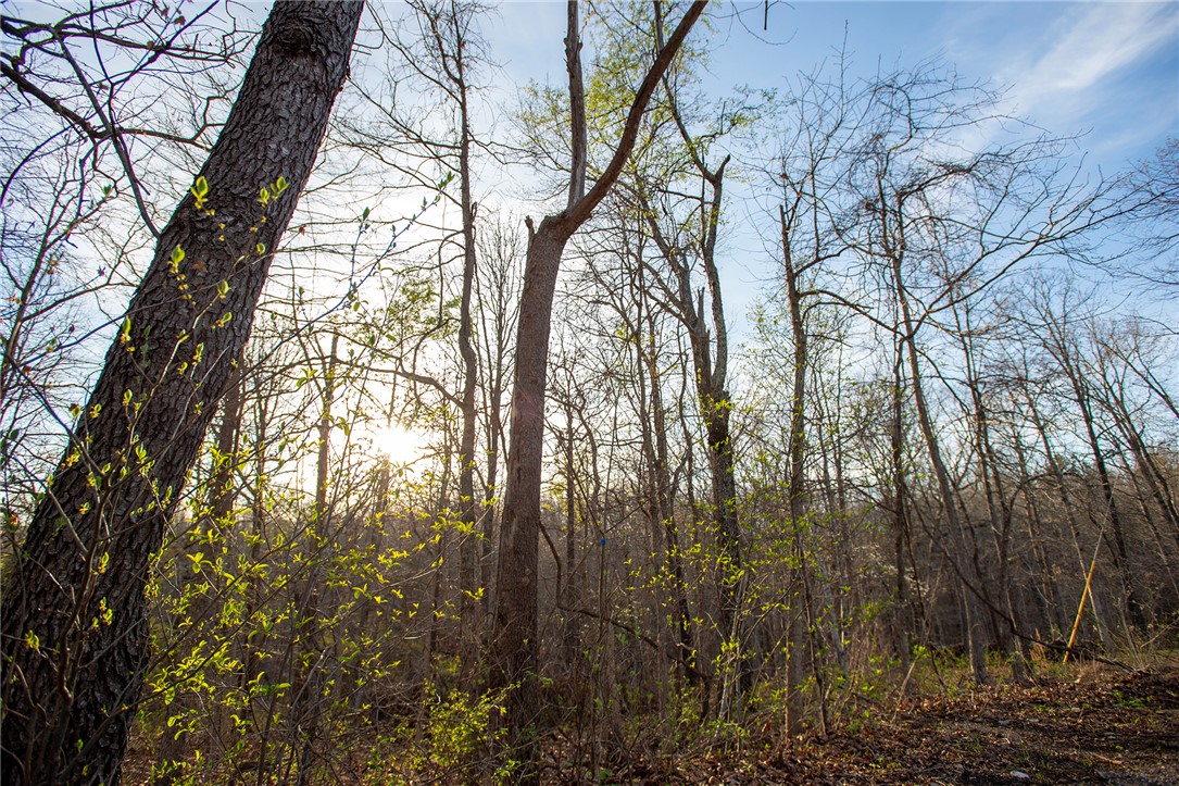 Carnahan Sub Bvv - Land