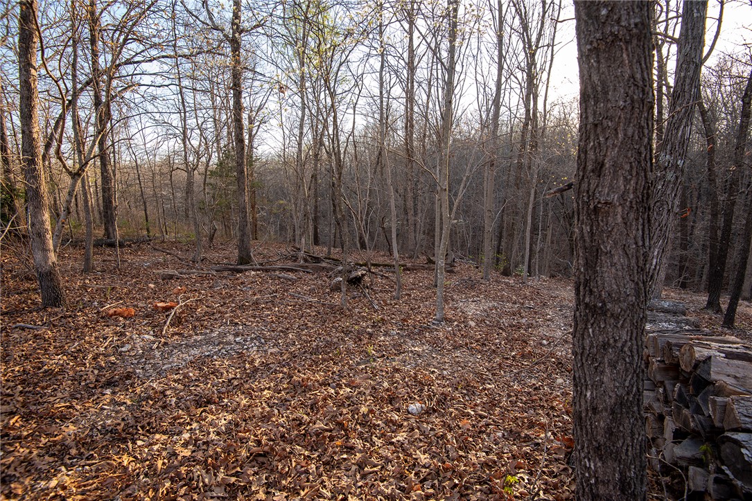 Carnahan Sub Bvv - Land