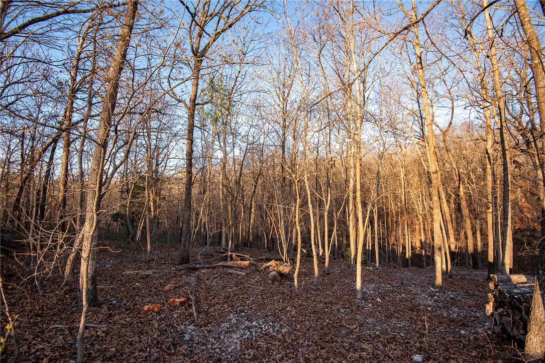 Carnahan Sub Bvv - Land