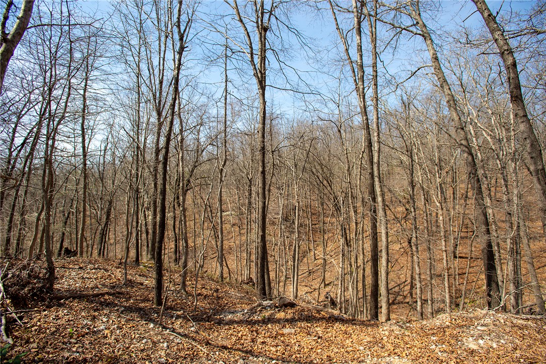 Carnahan Sub Bvv - Land