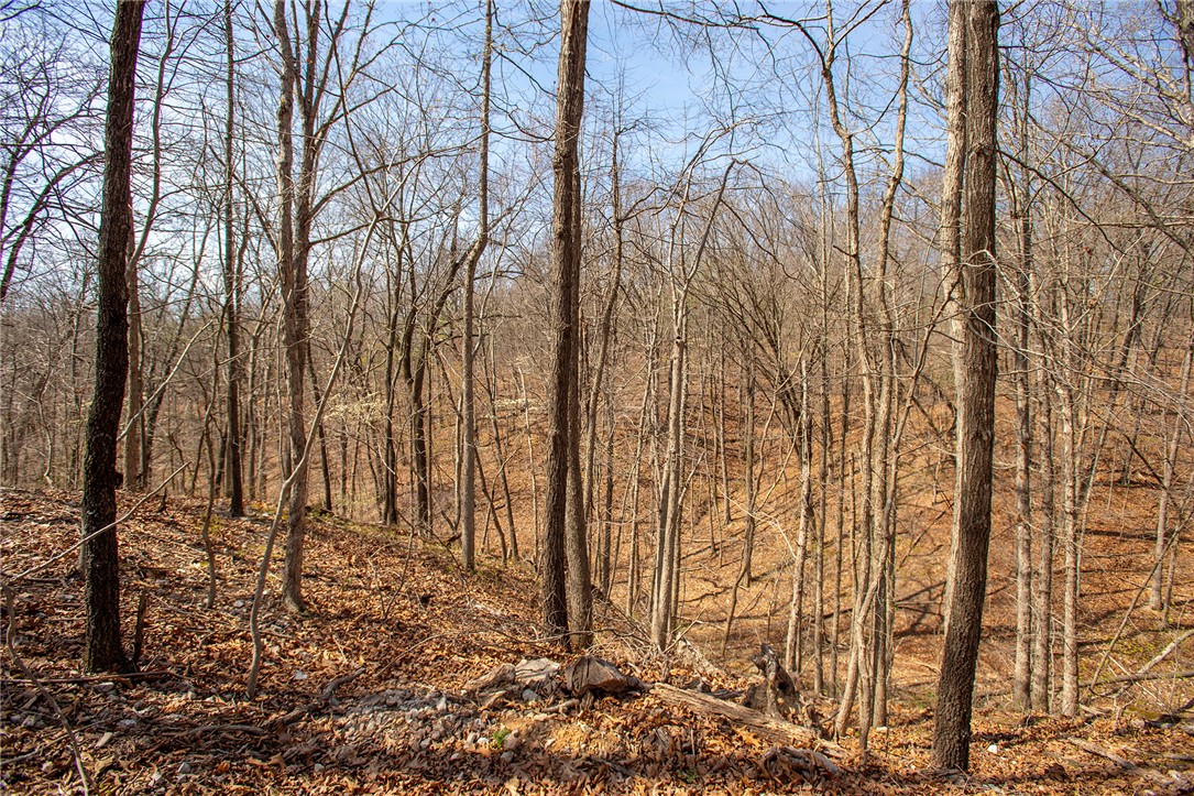 Carnahan Sub Bvv - Land