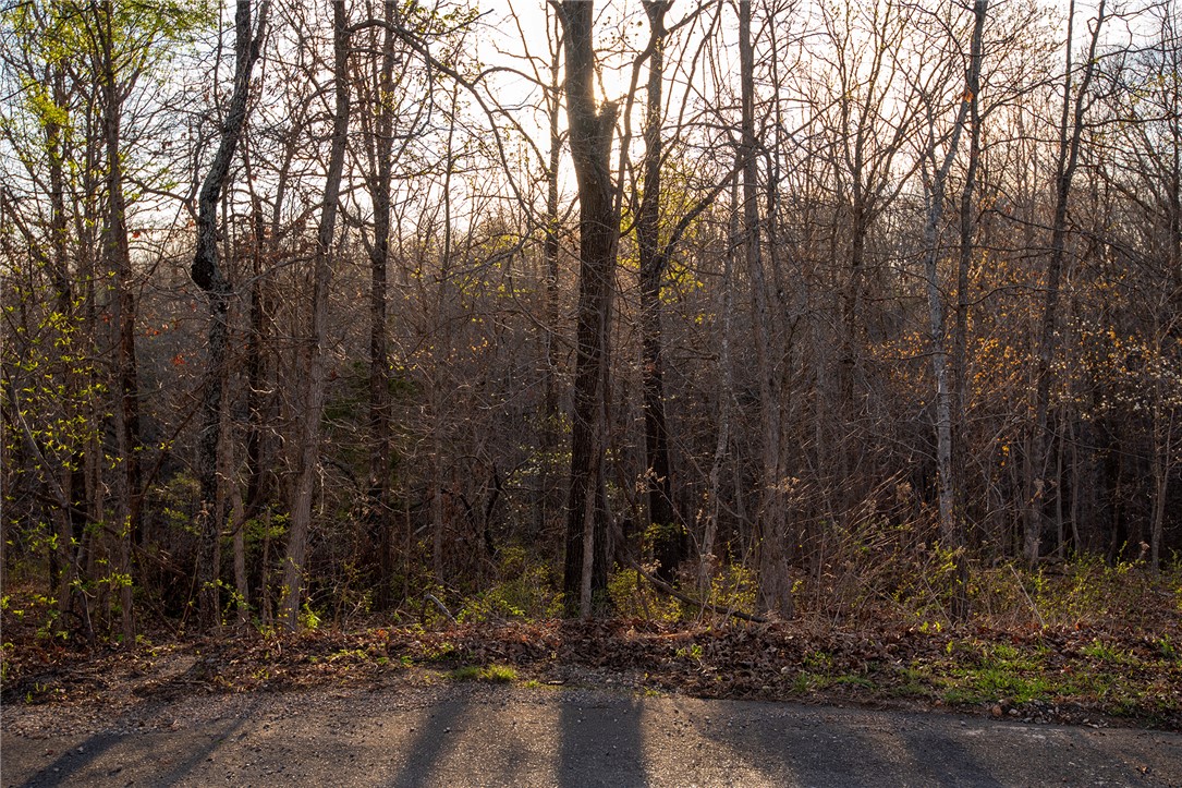 Carnahan Sub Bvv - Land