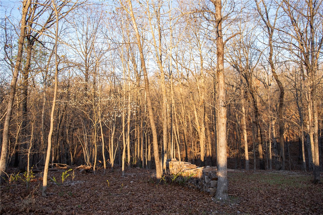 Carnahan Sub Bvv - Land