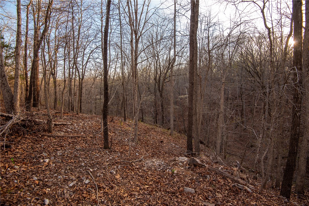 Carnahan Sub Bvv - Land