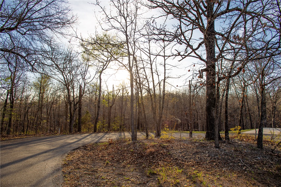 Carnahan Sub Bvv - Land