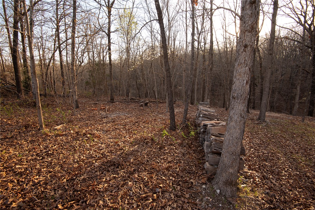 Carnahan Sub Bvv - Land