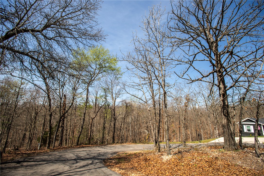 Carnahan Sub Bvv - Land