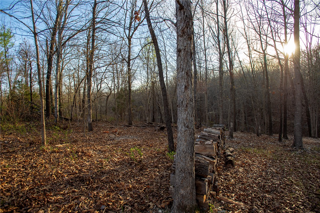 Carnahan Sub Bvv - Land