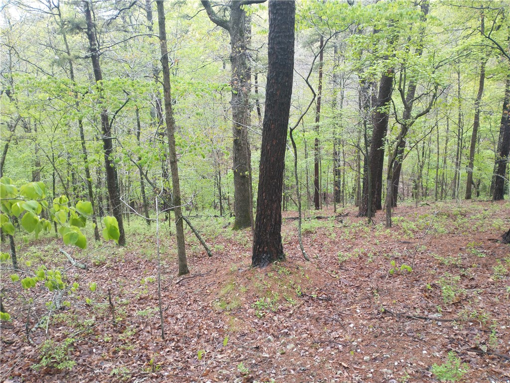 Kimberly Cliffs - Residential