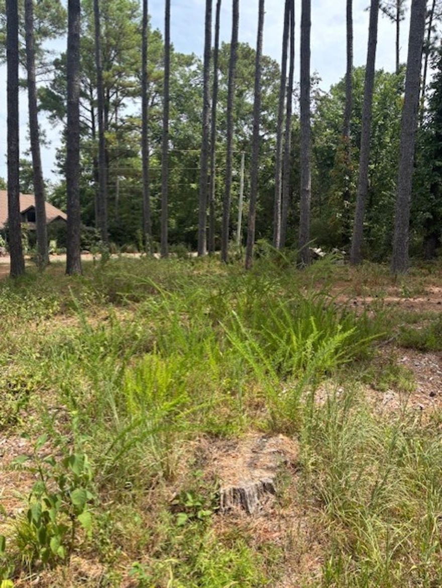 Level, large, corner lot on a lovely street with Pine trees galore.  Perc test available.