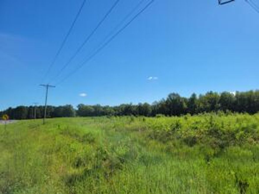 Prime Hunting Opportunity Near Lake KeelandSearching for the ultimate hunting destination this year? Look no further--this is your chance to own a premier piece of hunting land nestled next to Lake Keeland. With a natural water source nearby, this property is a magnet for big bucks and other wildlife, offering the perfect environment for a successful hunting season. Hwy 7 frontage with some cleared acreage in the front with a great spot to build a house on or move a mobile to. No restrictions.