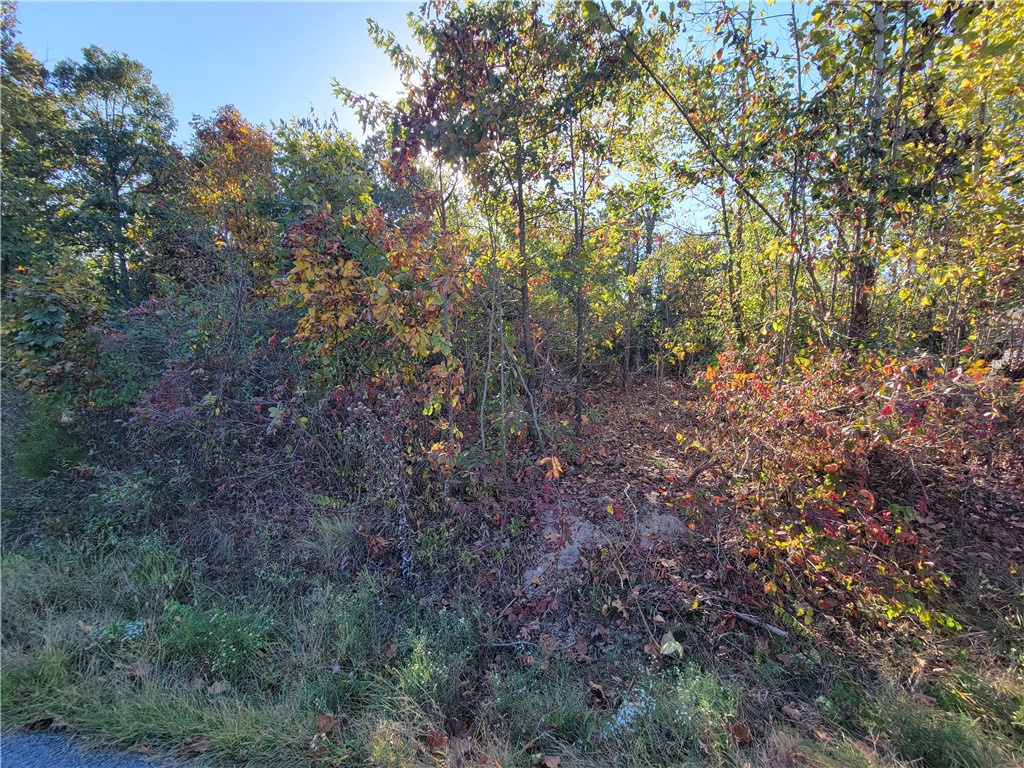 This lot is as flat as a pancake. Located close to Highlands gold course/clubhouse, Loch Lomond and Branchwood recreation center. Also provides quick access to the interstate and MO state line.