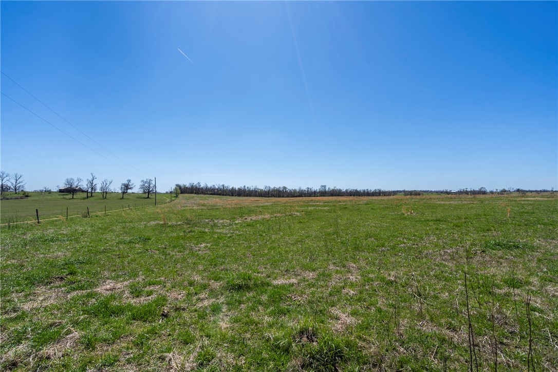Pristine pastureland that has run cattle for years! Whether you're looking for space to grow your herd or find the perfect "homeplace" this 65 acres m/l is worth looking into! There is a pond, several scattered mature trees, mostly all flat with some areas that are gently rolling, pick your dream home spot or consider the development potential!