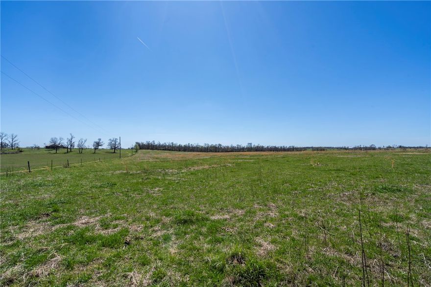 Pristine pastureland that has run cattle for years! Whether you're looking for space to grow your herd or find the perfect "homeplace" this 65 acres m/l is worth looking into! There is a pond, several scattered mature trees, mostly all flat with some areas that are gently rolling, pick your dream home spot or consider the development potential!