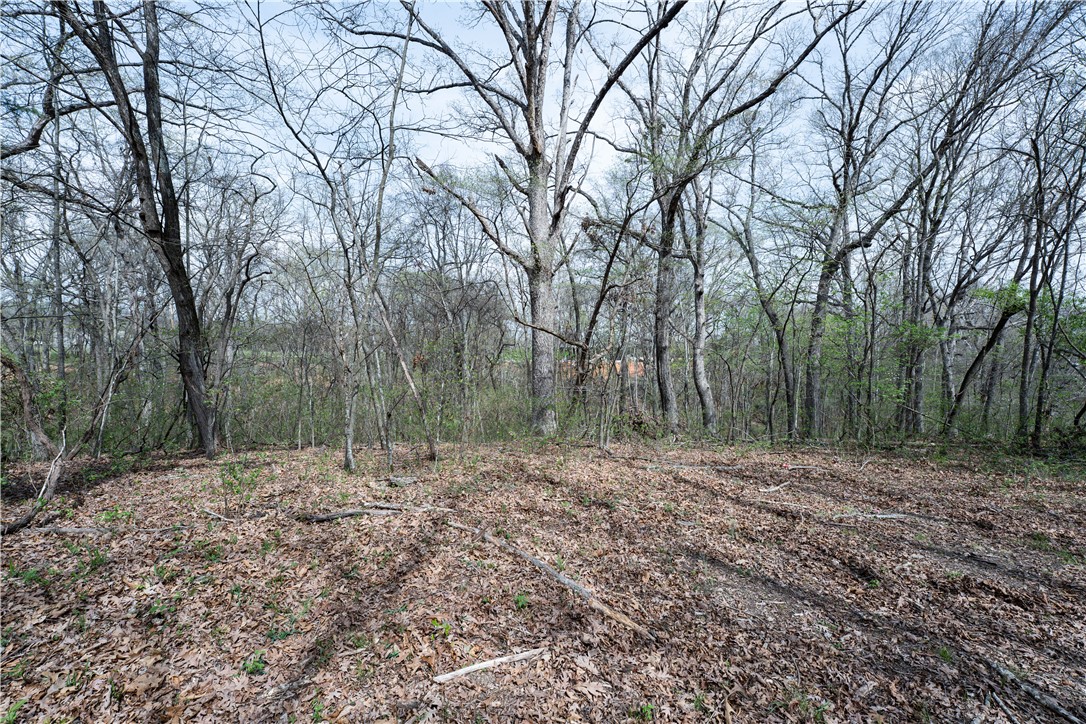 POSY MOUNTAIN RANCH UNIT 4-RURBAN - Land