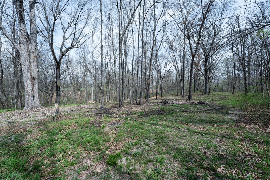 POSY MOUNTAIN RANCH UNIT 4-RURBAN - Land