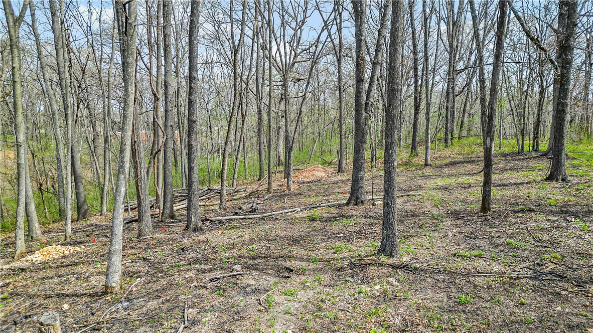 POSY MOUNTAIN RANCH UNIT 4-RURBAN - Land