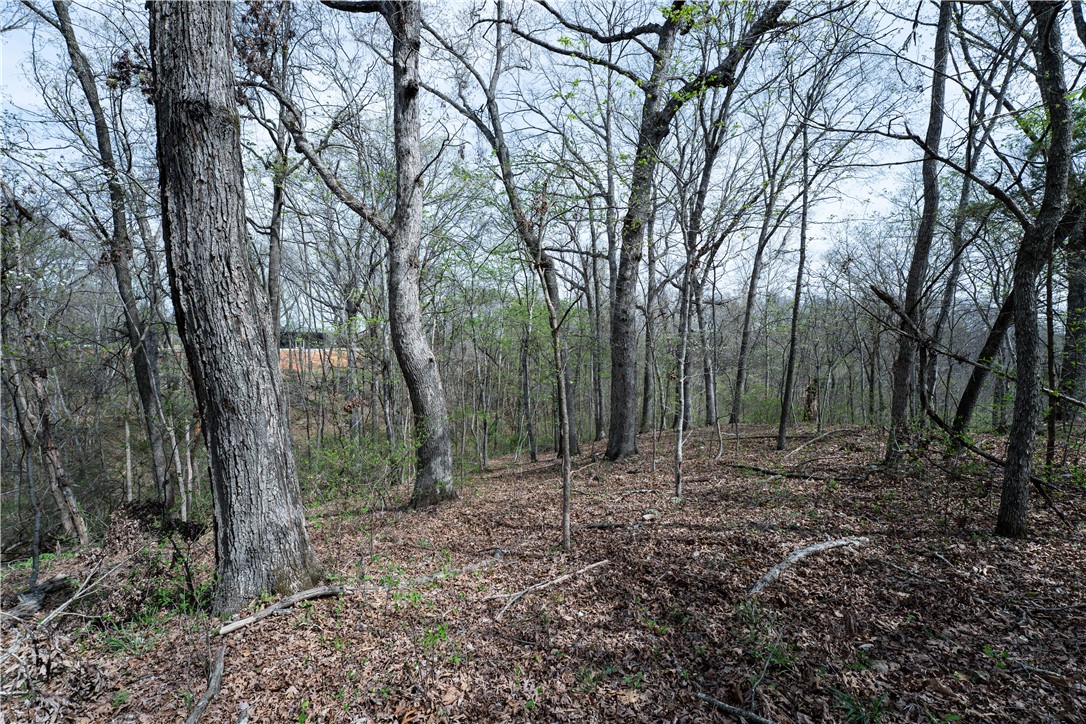 POSY MOUNTAIN RANCH UNIT 4-RURBAN - Land