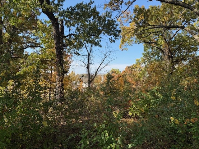 Pinnacle Country Club - Land