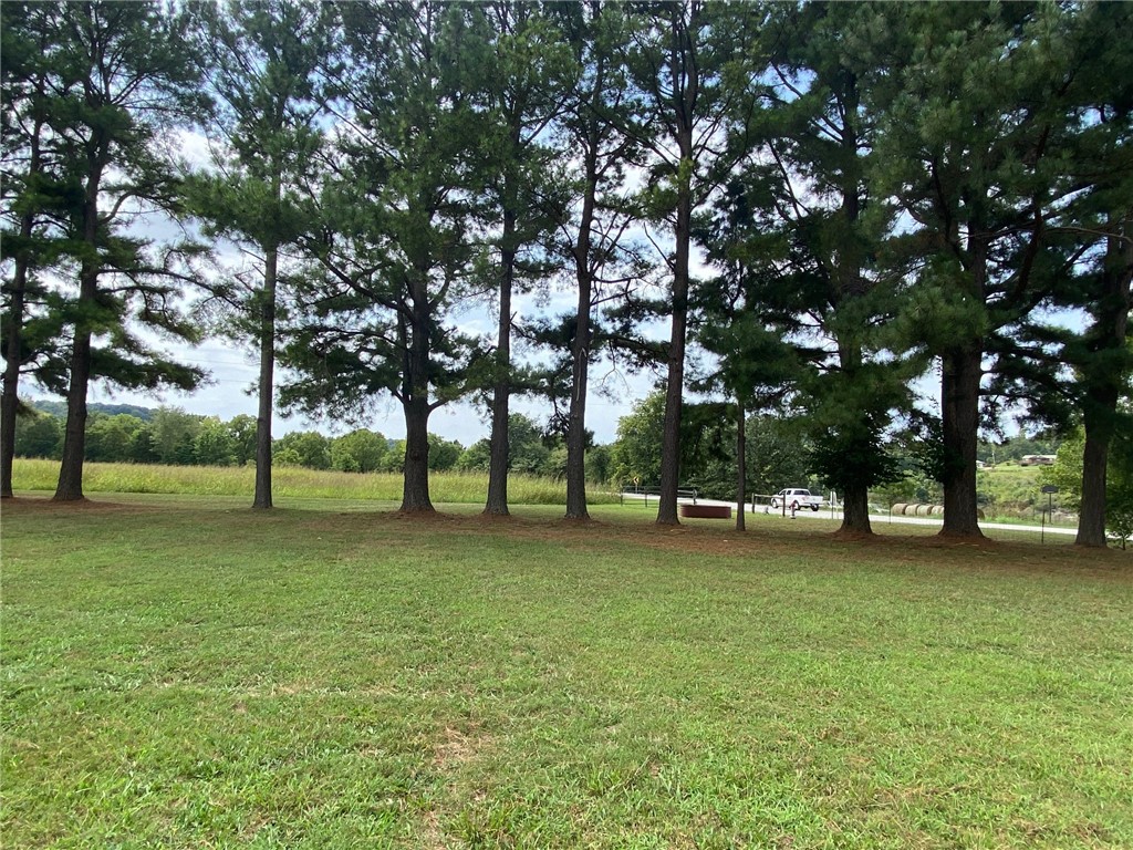 NO - Commercial Sale