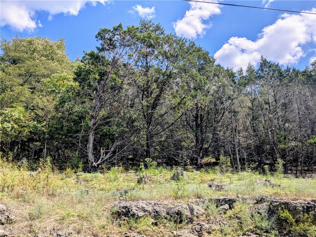 Unit 117 Holiday Island - Land