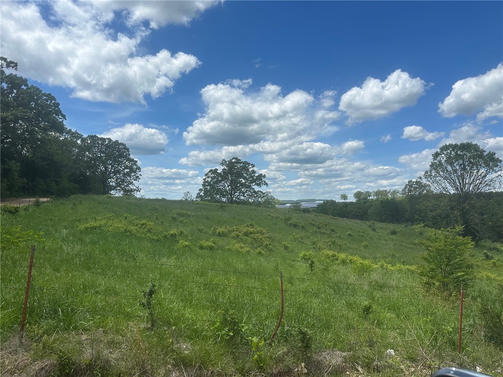 Prime Development Opportunity Near Berryville – 31± Acres
This versatile 31-acre tract near Berryville offers strong investment potential with a mix of open pasture and scattered timber. Bordered by county roads on multiple sides, the property provides excellent access and is well-suited for subdivision into smaller parcels. Several elevated building sites offer scenic views, and a well-kept pond adds value and appeal.
Whether you're looking to develop, build your dream home with room to expand, or hold for future gains, this land delivers flexibility and upside. To be surveyed off a larger parcel. Don’t miss this rare chance to own a development-ready property in a growing area.