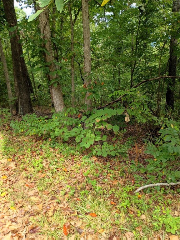 Newburgh Sub Bvv - Land