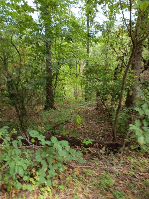 A very private & quiet area in a circle Rd neighborhood so no reason for thoroughfare. Just a few moments
from Highlands Golf course & pub. Branchwood Clubhouse w/ Gym, Swimming pool, pickle ball & Nature trail. Also close to boat ramp at Stoneykirk Dr. & Granton Park & boat ramp. Very close to I-49 Bypass to
Bentonville about 12 minutes. In my opinion very buildable with a finished walk out lower level.