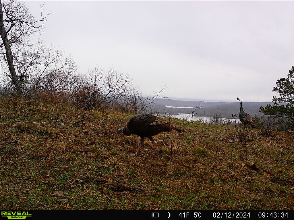 Citadel Bluff - Land