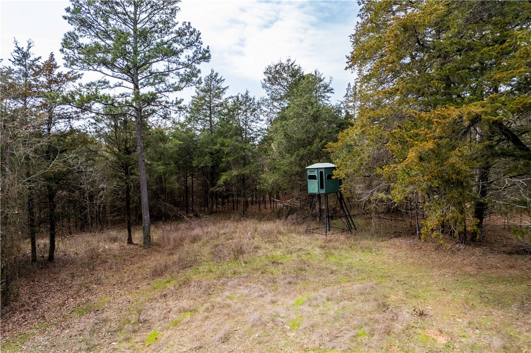 Citadel Bluff - Land