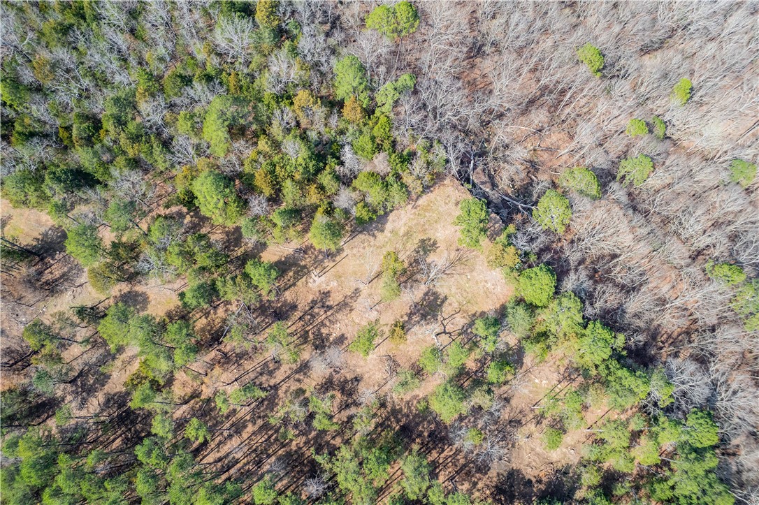 Citadel Bluff - Land