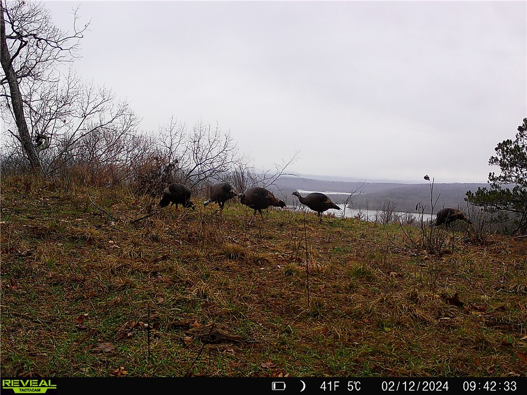 Citadel Bluff - Land