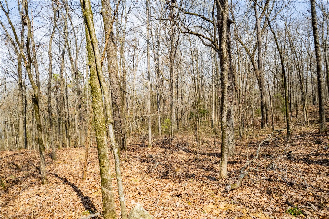 Citadel Bluff - Land