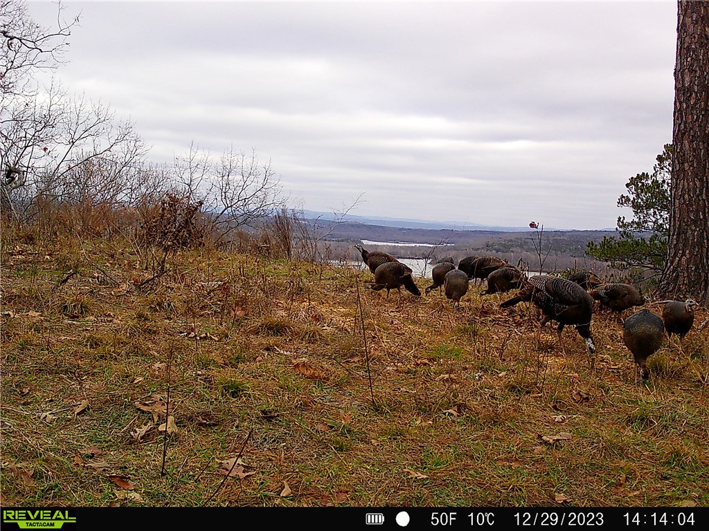 Citadel Bluff - Land