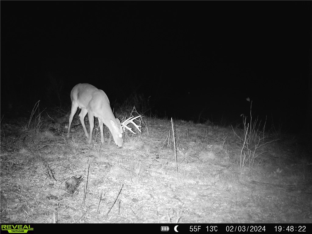 Citadel Bluff - Land