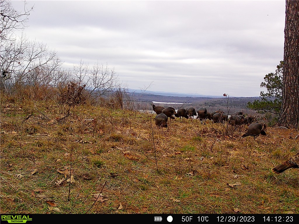 Citadel Bluff - Land