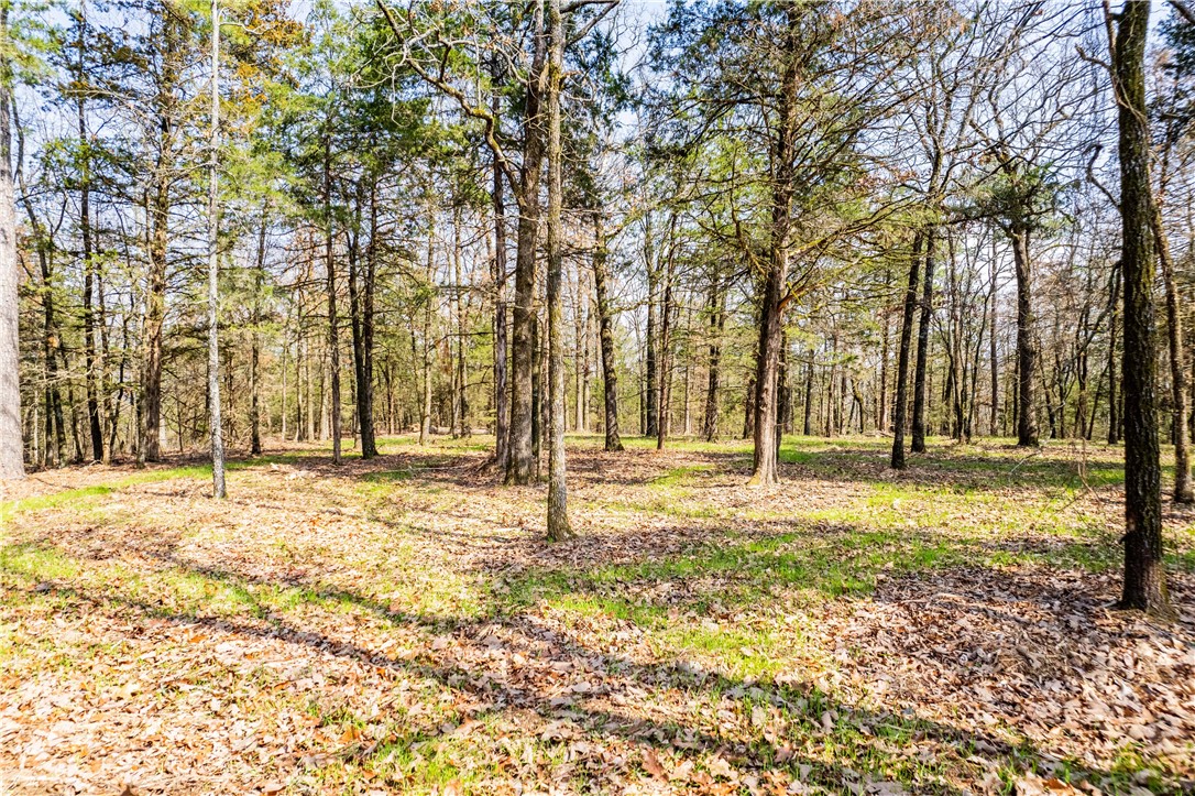 Citadel Bluff - Land