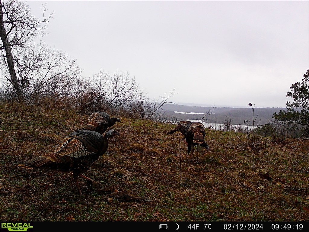 Citadel Bluff - Land