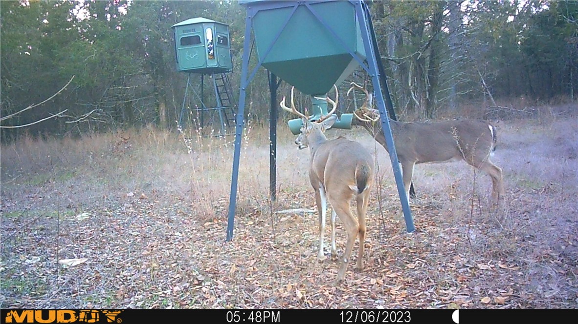 Citadel Bluff - Land