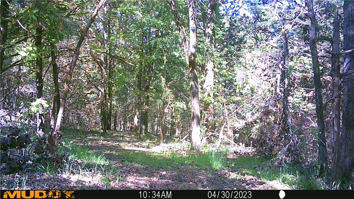 Citadel Bluff - Land